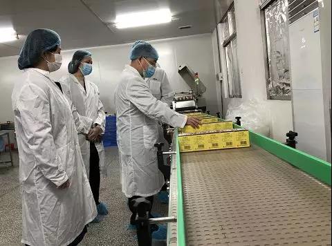 同心抗疫，，，，，确保质量！js33333金沙线路检测公司振隆厂外车间接受广药集团生产监视包管小组事情督导